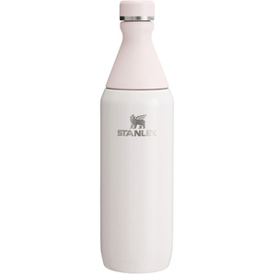 Stanley All Day Slim Bottle 20 oz | Twist On Lid with Leakproof Seal | Slim Design for Travel & Gym | Insulated Stainless Steel | BPA-Free | Blue Sky Gloss(Rose Quartz)