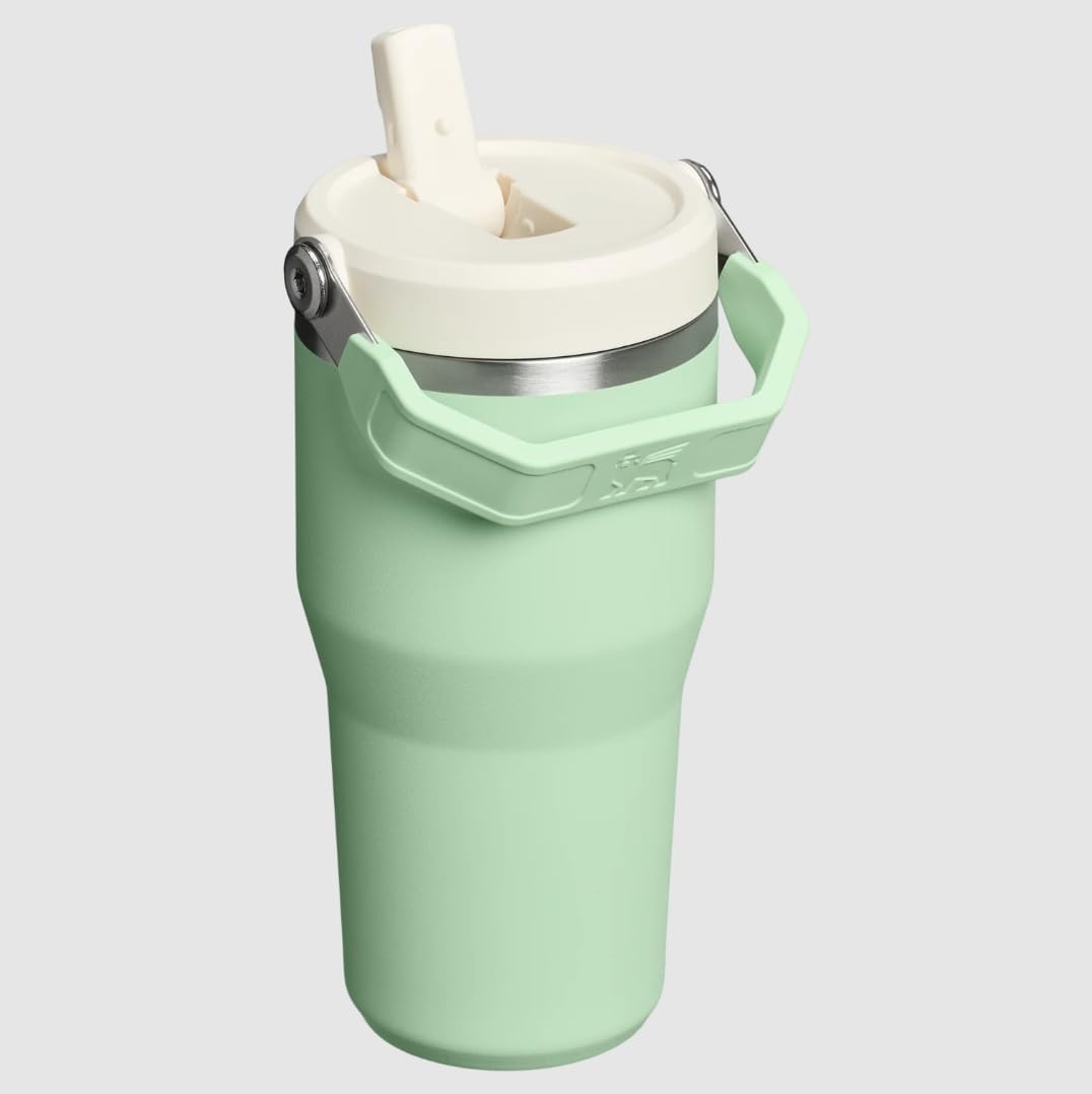 image:imageSTANLEY IceFlow 20 Flip Straw Tumbler with Handle 20 oz Twist On Lid and Flip Up Straw Leak Resistant Water Bottle Insulated Stainless Steel BPAFree Stainless Steel AshPistachio