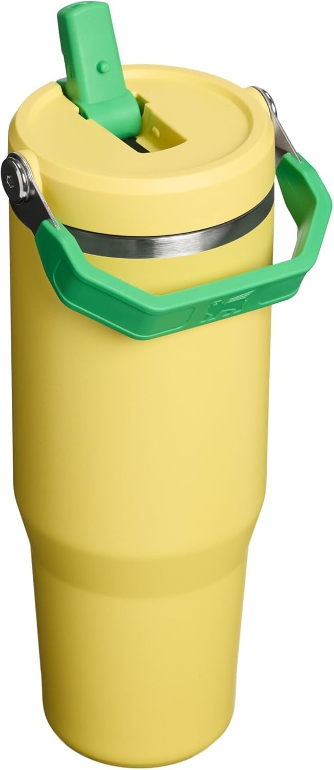 image:imageSTANLEY IceFlow 20 Flip Straw Tumbler with Handle 20 oz Twist On Lid and Flip Up Straw Leak Resistant Water Bottle Insulated Stainless Steel BPAFree Stainless Steel AshTeam Yellow Green