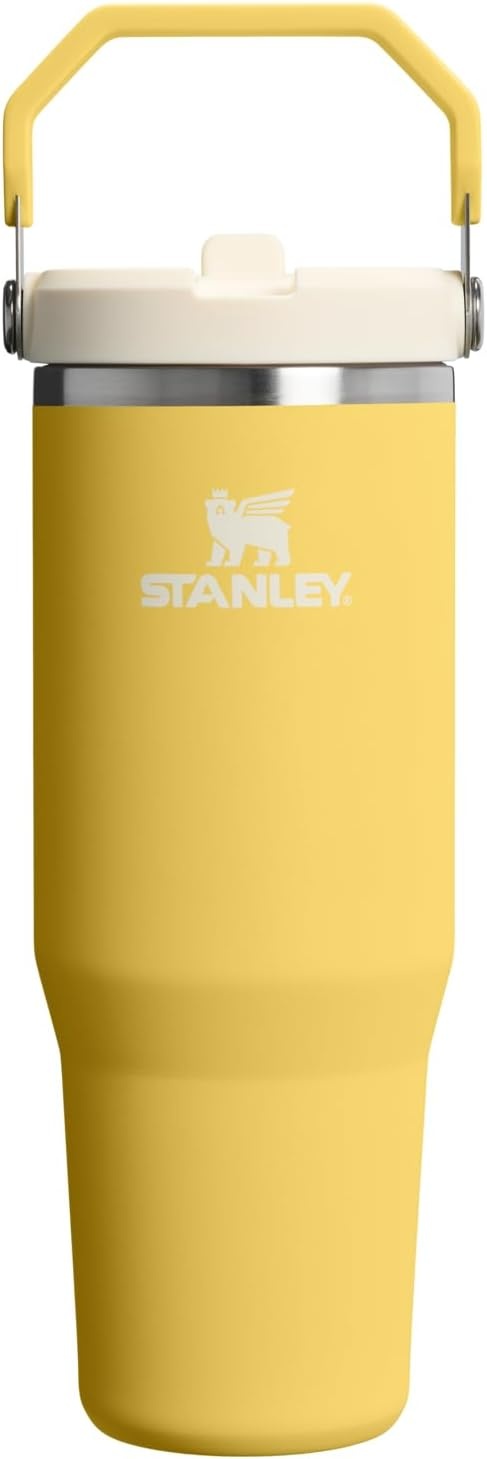 image:imageSTANLEY IceFlow 20 Flip Straw Tumbler with Handle 20 oz Twist On Lid and Flip Up Straw Leak Resistant Water Bottle Insulated Stainless Steel BPAFree Stainless Steel AshDaffodil