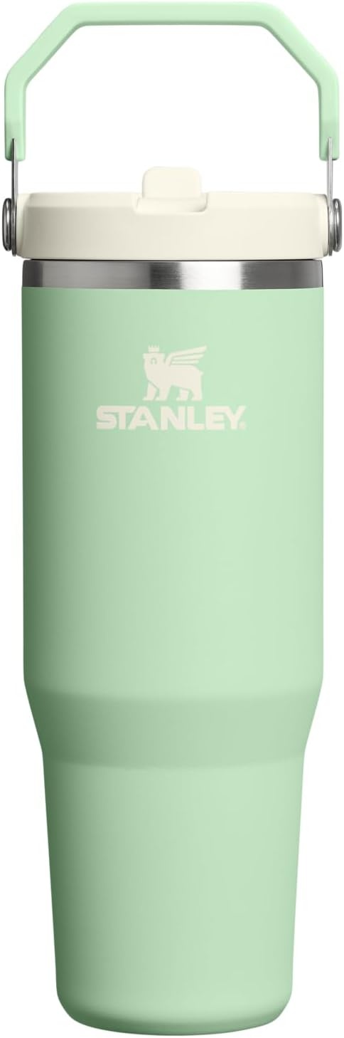 image:imageSTANLEY IceFlow 20 Flip Straw Tumbler with Handle 20 oz Twist On Lid and Flip Up Straw Leak Resistant Water Bottle Insulated Stainless Steel BPAFree Stainless Steel AshPistachio