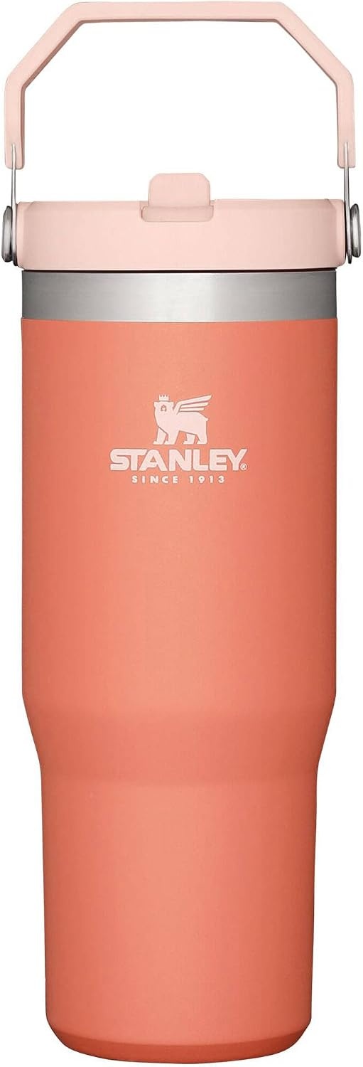 image:imageSTANLEY IceFlow 20 Flip Straw Tumbler with Handle 20 oz Twist On Lid and Flip Up Straw Leak Resistant Water Bottle Insulated Stainless Steel BPAFree Stainless Steel AshGrapefruit