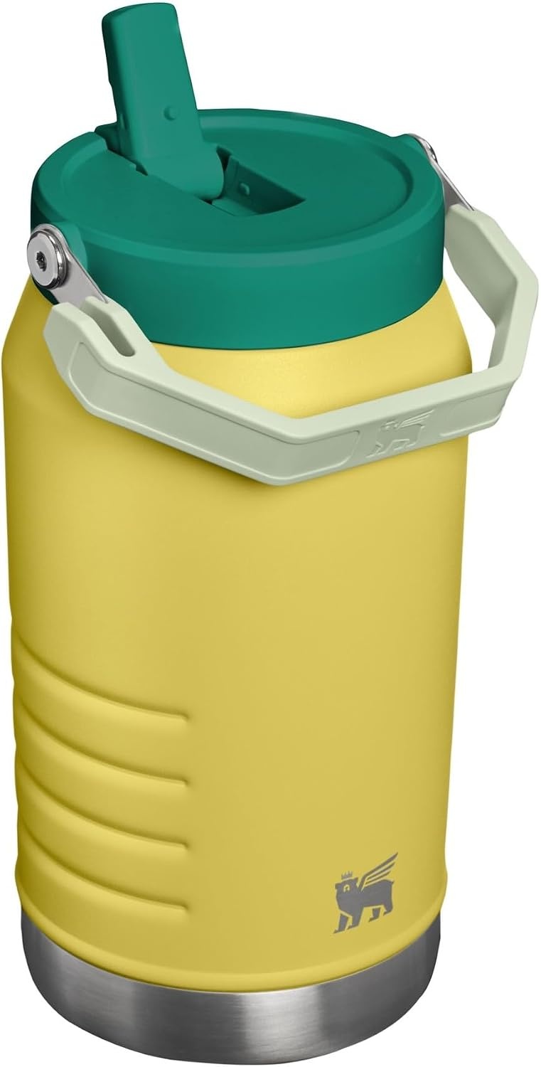image:imageSTANLEY IceFlow 20 Flip Straw Tumbler with Handle 20 oz Twist On Lid and Flip Up Straw Leak Resistant Water Bottle Insulated Stainless Steel BPAFree Stainless Steel AshDaffodil Emerald