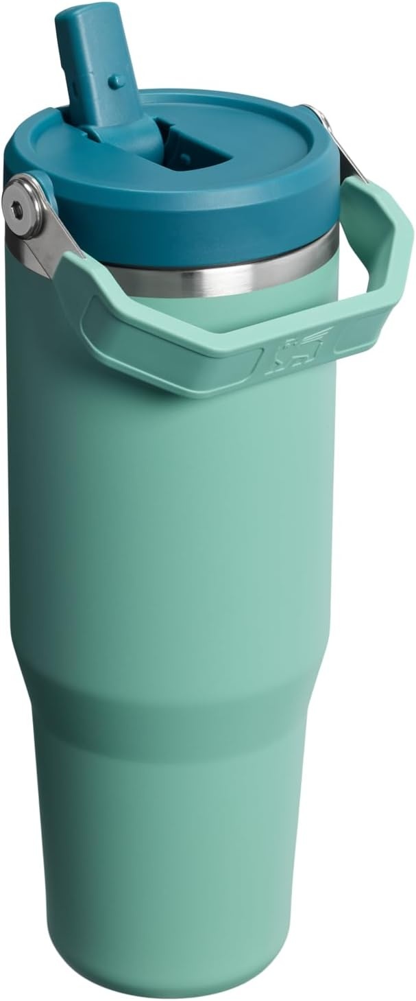 image:imageSTANLEY IceFlow 20 Flip Straw Tumbler with Handle 20 oz Twist On Lid and Flip Up Straw Leak Resistant Water Bottle Insulated Stainless Steel BPAFree Stainless Steel AshSpring Green
