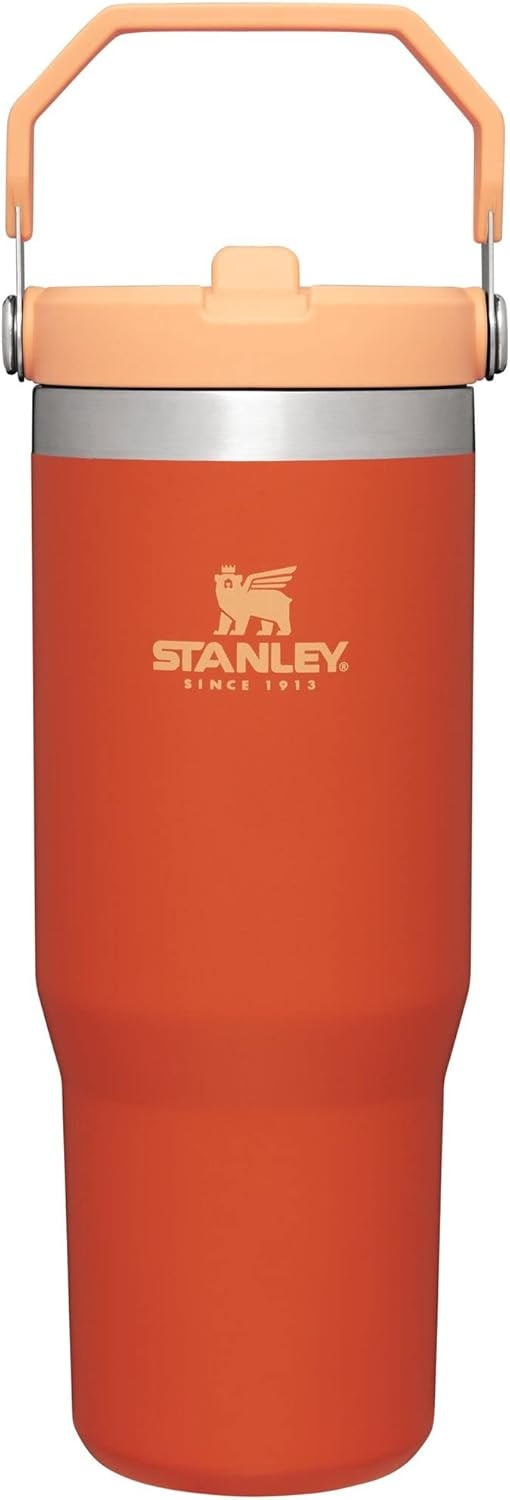 image:imageSTANLEY IceFlow 20 Flip Straw Tumbler with Handle 20 oz Twist On Lid and Flip Up Straw Leak Resistant Water Bottle Insulated Stainless Steel BPAFree Stainless Steel AshTigerlily