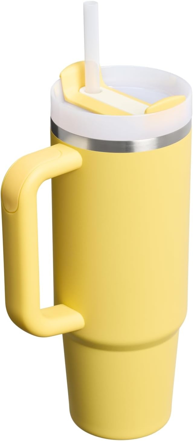 image:imageSTANLEY Quencher H20 Tumbler with Handle and Straw 20 oz Flowstate 3Position Lid Cup Holder Compatible for Travel Insulated Stainless Steel Cup BPAFree Blue Dream StoneDaffodil