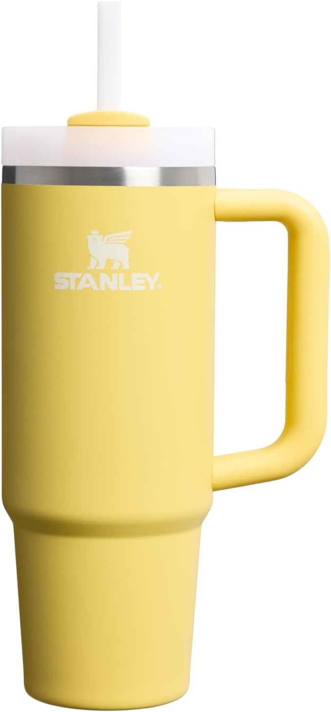 image:imageSTANLEY Quencher H20 Tumbler with Handle and Straw 20 oz Flowstate 3Position Lid Cup Holder Compatible for Travel Insulated Stainless Steel Cup BPAFree Blue Dream StoneDaffodil