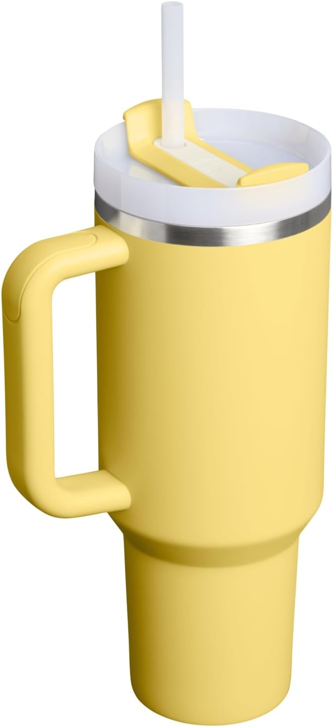 image:imageSTANLEY Quencher H20 Tumbler with Handle and Straw 20 oz Flowstate 3Position Lid Cup Holder Compatible for Travel Insulated Stainless Steel Cup BPAFree Blue Dream StoneDaffodil
