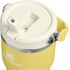 STANLEY IceFlow 2.0 Flip Straw Tumbler with Handle 20 oz | Twist On Lid and Flip Up Straw | Leak Resistant Water Bottle | Insulated Stainless Steel | BPA-Free | Stainless Steel Ash(Daffodil)