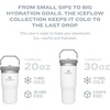 STANLEY IceFlow 2.0 Flip Straw Tumbler with Handle 20 oz | Twist On Lid and Flip Up Straw | Leak Resistant Water Bottle | Insulated Stainless Steel | BPA-Free | Stainless Steel Ash(Alpine)