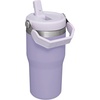 STANLEY IceFlow 2.0 Flip Straw Tumbler with Handle 20 oz | Twist On Lid and Flip Up Straw | Leak Resistant Water Bottle | Insulated Stainless Steel | BPA-Free | Stainless Steel Ash(Lavender)