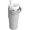 STANLEY IceFlow 2.0 Flip Straw Tumbler with Handle 20 oz | Twist On Lid and Flip Up Straw | Leak Resistant Water Bottle | Insulated Stainless Steel | BPA-Free | Stainless Steel Ash(Ash)