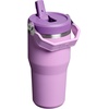 STANLEY IceFlow 2.0 Flip Straw Tumbler with Handle 20 oz | Twist On Lid and Flip Up Straw | Leak Resistant Water Bottle | Insulated Stainless Steel | BPA-Free | Stainless Steel Ash(Lilac)