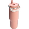 STANLEY IceFlow 2.0 Flip Straw Tumbler with Handle 20 oz | Twist On Lid and Flip Up Straw | Leak Resistant Water Bottle | Insulated Stainless Steel | BPA-Free | Stainless Steel Ash(Exclusive Sienna)