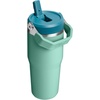 STANLEY IceFlow 2.0 Flip Straw Tumbler with Handle 20 oz | Twist On Lid and Flip Up Straw | Leak Resistant Water Bottle | Insulated Stainless Steel | BPA-Free | Stainless Steel Ash(Spring Green)
