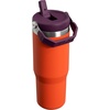 STANLEY IceFlow 2.0 Flip Straw Tumbler with Handle 20 oz | Twist On Lid and Flip Up Straw | Leak Resistant Water Bottle | Insulated Stainless Steel | BPA-Free | Stainless Steel Ash(Tigerlily Plum)