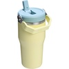 STANLEY IceFlow 2.0 Flip Straw Tumbler with Handle 20 oz | Twist On Lid and Flip Up Straw | Leak Resistant Water Bottle | Insulated Stainless Steel | BPA-Free | Stainless Steel Ash(Pomelo)