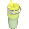 STANLEY IceFlow 2.0 Flip Straw Tumbler with Handle 20 oz | Twist On Lid and Flip Up Straw | Leak Resistant Water Bottle | Insulated Stainless Steel | BPA-Free | Stainless Steel Ash(Atomic Gradient)