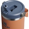 STANLEY IceFlow 2.0 Flip Straw Tumbler with Handle 20 oz | Twist On Lid and Flip Up Straw | Leak Resistant Water Bottle | Insulated Stainless Steel | BPA-Free | Stainless Steel Ash(Toast)