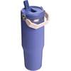 STANLEY IceFlow 2.0 Flip Straw Tumbler with Handle 20 oz | Twist On Lid and Flip Up Straw | Leak Resistant Water Bottle | Insulated Stainless Steel | BPA-Free | Stainless Steel Ash(Exclusive Lupine)