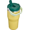 STANLEY IceFlow 2.0 Flip Straw Tumbler with Handle 20 oz | Twist On Lid and Flip Up Straw | Leak Resistant Water Bottle | Insulated Stainless Steel | BPA-Free | Stainless Steel Ash(Daffodil Emerald)