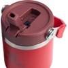 STANLEY IceFlow 2.0 Flip Straw Tumbler with Handle 20 oz | Twist On Lid and Flip Up Straw | Leak Resistant Water Bottle | Insulated Stainless Steel | BPA-Free | Stainless Steel Ash(Chili Red)