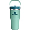 STANLEY IceFlow 2.0 Flip Straw Tumbler with Handle 20 oz | Twist On Lid and Flip Up Straw | Leak Resistant Water Bottle | Insulated Stainless Steel | BPA-Free | Stainless Steel Ash(Spring Green)