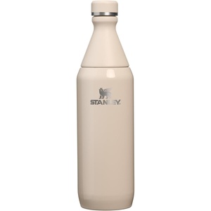 STANLEY All Day Slim Bottle 20 oz | Twist On Lid with Leakproof Seal | Slim Design for Travel & Gym | Insulated Stainless Steel | BPA-Free | Champagne Gloss