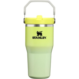 STANLEY IceFlow 2.0 Flip Straw Tumbler with Handle 20 oz | Twist On Lid and Flip Up Straw | Leak Resistant Water Bottle | Insulated Stainless Steel | BPA-Free | Stainless Steel Ash(Atomic Gradient)