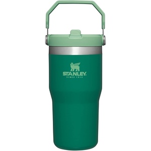 STANLEY IceFlow 2.0 Flip Straw Tumbler with Handle 20 oz | Twist On Lid and Flip Up Straw | Leak Resistant Water Bottle | Insulated Stainless Steel | BPA-Free | Stainless Steel Ash(Alpine)