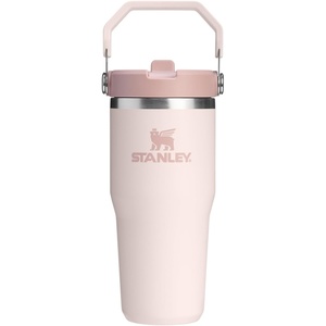 STANLEY IceFlow 2.0 Flip Straw Tumbler with Handle 20 oz | Twist On Lid and Flip Up Straw | Leak Resistant Water Bottle | Insulated Stainless Steel | BPA-Free | Stainless Steel Ash(Rose Quartz 2.0)