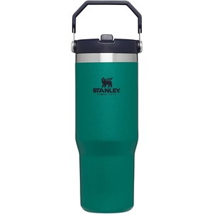 STANLEY IceFlow 2.0 Flip Straw Tumbler with Handle 20 oz | Twist On Lid and Flip Up Straw | Leak Resistant Water Bottle | Insulated Stainless Steel | BPA-Free | Stainless Steel Ash(Tidepool)