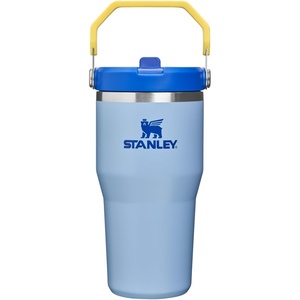 STANLEY IceFlow 2.0 Flip Straw Tumbler with Handle 20 oz | Twist On Lid and Flip Up Straw | Leak Resistant Water Bottle | Insulated Stainless Steel | BPA-Free | Stainless Steel Ash(Cornflower Admiral Blue)