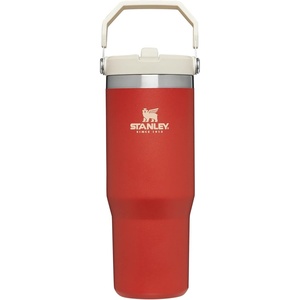 STANLEY IceFlow 2.0 Flip Straw Tumbler with Handle 20 oz | Twist On Lid and Flip Up Straw | Leak Resistant Water Bottle | Insulated Stainless Steel | BPA-Free | Stainless Steel Ash(Carnelian)