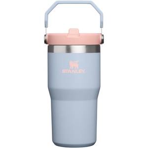STANLEY IceFlow 2.0 Flip Straw Tumbler with Handle 20 oz | Twist On Lid and Flip Up Straw | Leak Resistant Water Bottle | Insulated Stainless Steel | BPA-Free | Stainless Steel Ash(Blue Dream)