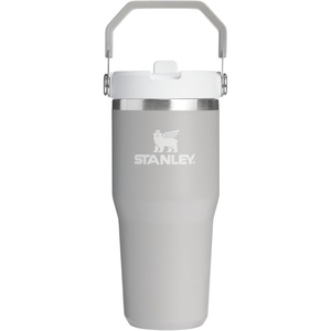 STANLEY IceFlow 2.0 Flip Straw Tumbler with Handle 20 oz | Twist On Lid and Flip Up Straw | Leak Resistant Water Bottle | Insulated Stainless Steel | BPA-Free | Stainless Steel Ash(Ash)