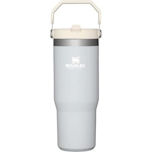 STANLEY IceFlow 2.0 Flip Straw Tumbler with Handle 20 oz | Twist On Lid and Flip Up Straw | Leak Resistant Water Bottle | Insulated Stainless Steel | BPA-Free | Stainless Steel Ash(Cloud)