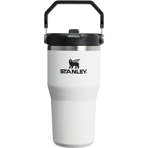 STANLEY IceFlow 2.0 Flip Straw Tumbler with Handle 20 oz | Twist On Lid and Flip Up Straw | Leak Resistant Water Bottle | Insulated Stainless Steel | BPA-Free | Stainless Steel Ash(Chalk)