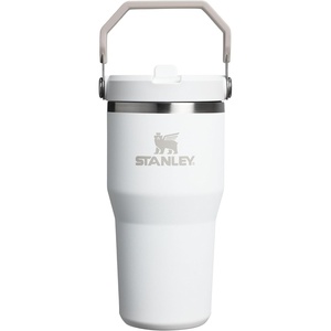 STANLEY IceFlow 2.0 Flip Straw Tumbler with Handle 20 oz | Twist On Lid and Flip Up Straw | Leak Resistant Water Bottle | Insulated Stainless Steel | BPA-Free | Stainless Steel Ash(Frost)
