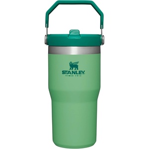 STANLEY IceFlow 2.0 Flip Straw Tumbler with Handle 20 oz | Twist On Lid and Flip Up Straw | Leak Resistant Water Bottle | Insulated Stainless Steel | BPA-Free | Stainless Steel Ash(Jade)