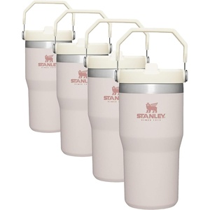 STANLEY IceFlow 2.0 Flip Straw Tumbler with Handle 20 oz | Twist On Lid and Flip Up Straw | Leak Resistant Water Bottle | Insulated Stainless Steel | BPA-Free | Stainless Steel Ash(Rose Quartz)