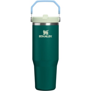 STANLEY IceFlow 2.0 Flip Straw Tumbler with Handle 20 oz | Twist On Lid and Flip Up Straw | Leak Resistant Water Bottle | Insulated Stainless Steel | BPA-Free | Stainless Steel Ash(Honeydew Garden)