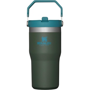 STANLEY IceFlow 2.0 Flip Straw Tumbler with Handle 20 oz | Twist On Lid and Flip Up Straw | Leak Resistant Water Bottle | Insulated Stainless Steel | BPA-Free | Stainless Steel Ash(Spirulina)