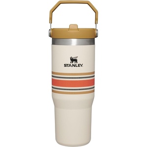 STANLEY IceFlow 2.0 Flip Straw Tumbler with Handle 20 oz | Twist On Lid and Flip Up Straw | Leak Resistant Water Bottle | Insulated Stainless Steel | BPA-Free | Stainless Steel Ash(Cream Mesh)