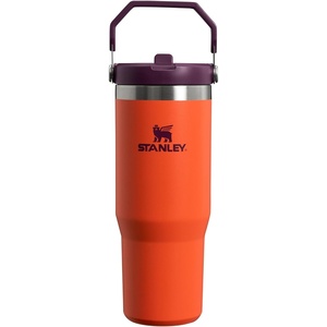 STANLEY IceFlow 2.0 Flip Straw Tumbler with Handle 20 oz | Twist On Lid and Flip Up Straw | Leak Resistant Water Bottle | Insulated Stainless Steel | BPA-Free | Stainless Steel Ash(Tigerlily Plum)