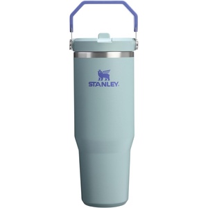STANLEY IceFlow 2.0 Flip Straw Tumbler with Handle 20 oz | Twist On Lid and Flip Up Straw | Leak Resistant Water Bottle | Insulated Stainless Steel | BPA-Free | Stainless Steel Ash(Exclusive Blue Catus)