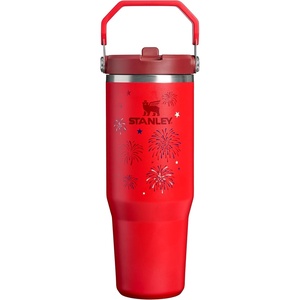 STANLEY IceFlow 2.0 Flip Straw Tumbler with Handle 20 oz | Twist On Lid and Flip Up Straw | Leak Resistant Water Bottle | Insulated Stainless Steel | BPA-Free | Stainless Steel Ash(Chili Red Fireworks)