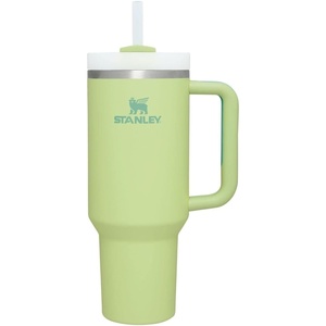 STANLEY Quencher H2.0 Tumbler with Handle and Straw 20 oz | Flowstate 3-Position Lid | Cup Holder Compatible for Travel | Insulated Stainless Steel Cup | BPA-Free | Blue Dream Stone(Citron)