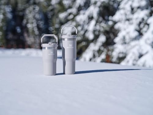 image:imageSTANLEY IceFlow 20 Flip Straw Tumbler 30 oz Champagne PlusAsh