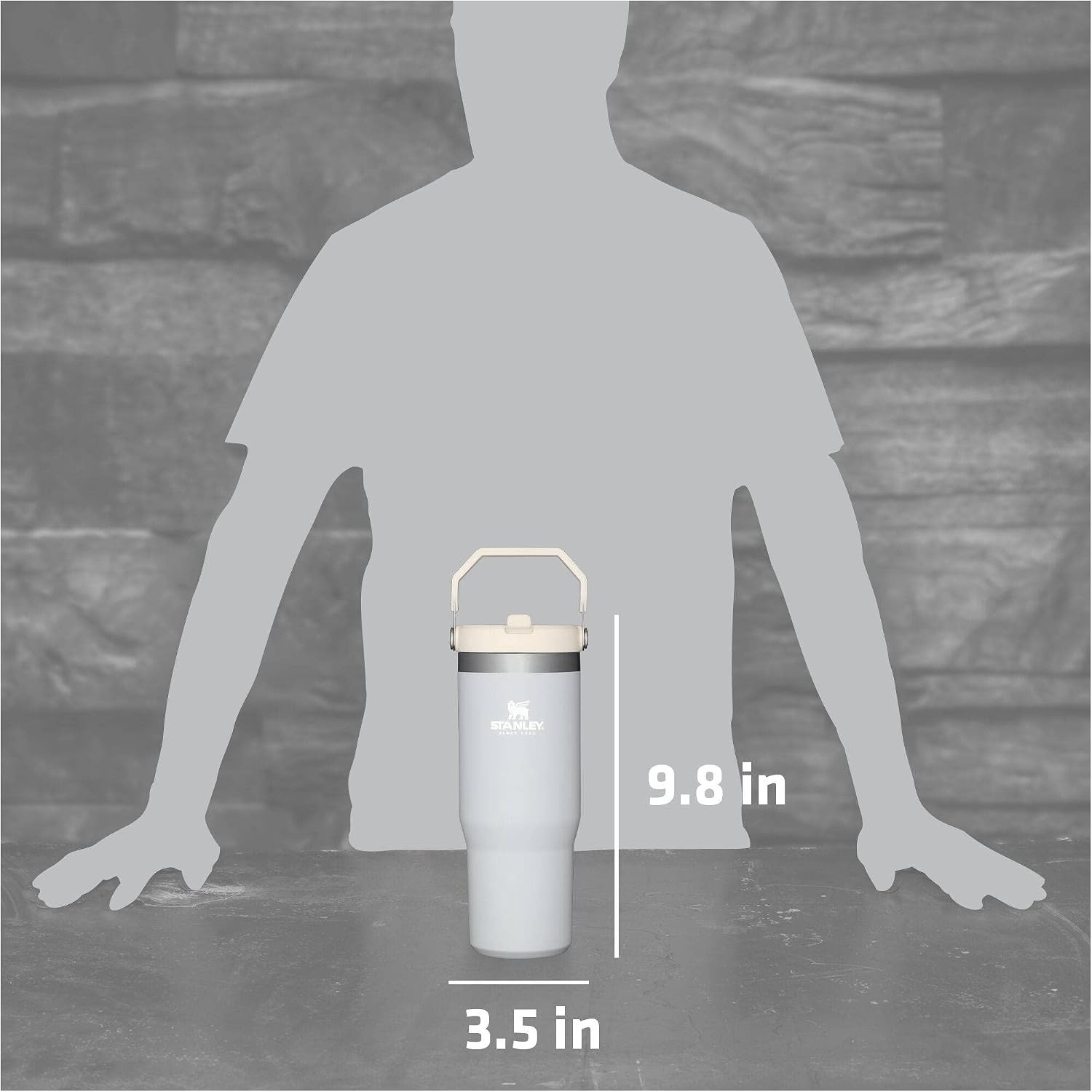 image:imageSTANLEY IceFlow 20 Flip Straw Tumbler 30 oz Champagne PlusCloud